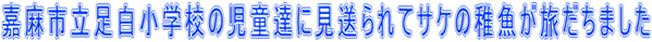 嘉麻市立足白小学校の児童達に見送られてサケの稚魚が旅だちました