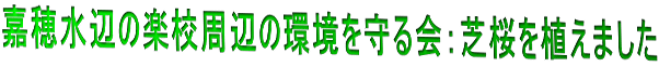 嘉穂水辺の楽校周辺の環境を守る会：芝桜を植えました